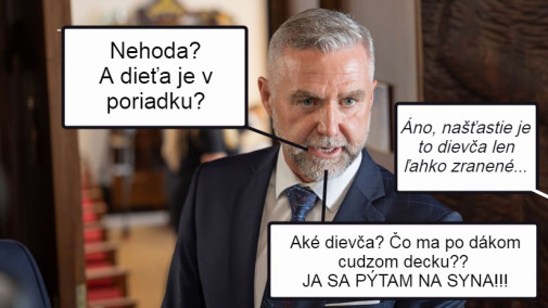 Príspevok 230347